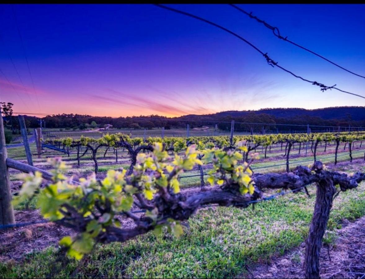 스타웰 #Grampians Views Getaway #Cbd #Netflix 아파트 외부 사진